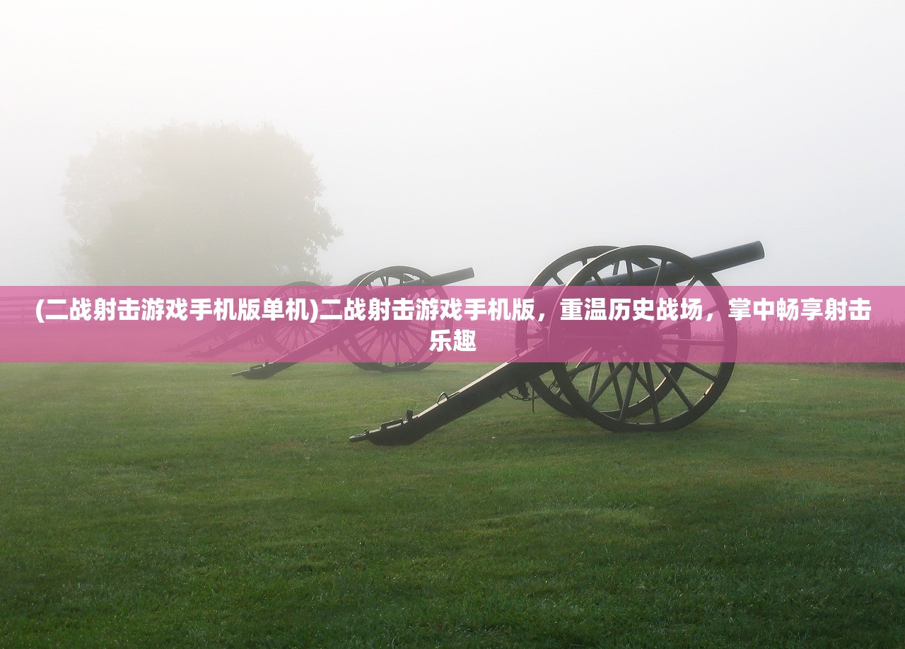 (二战射击游戏手机版单机)二战射击游戏手机版，重温历史战场，掌中畅享射击乐趣