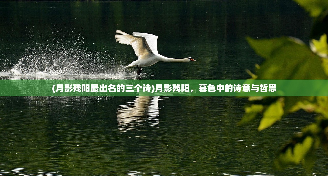 (月影残阳最出名的三个诗)月影残阳，暮色中的诗意与哲思