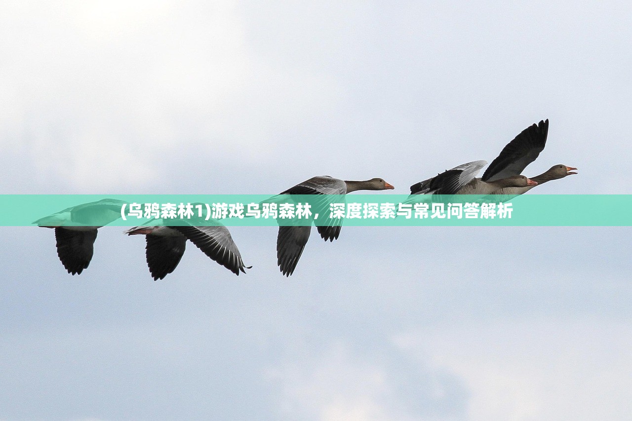 (乌鸦森林1)游戏乌鸦森林，深度探索与常见问答解析