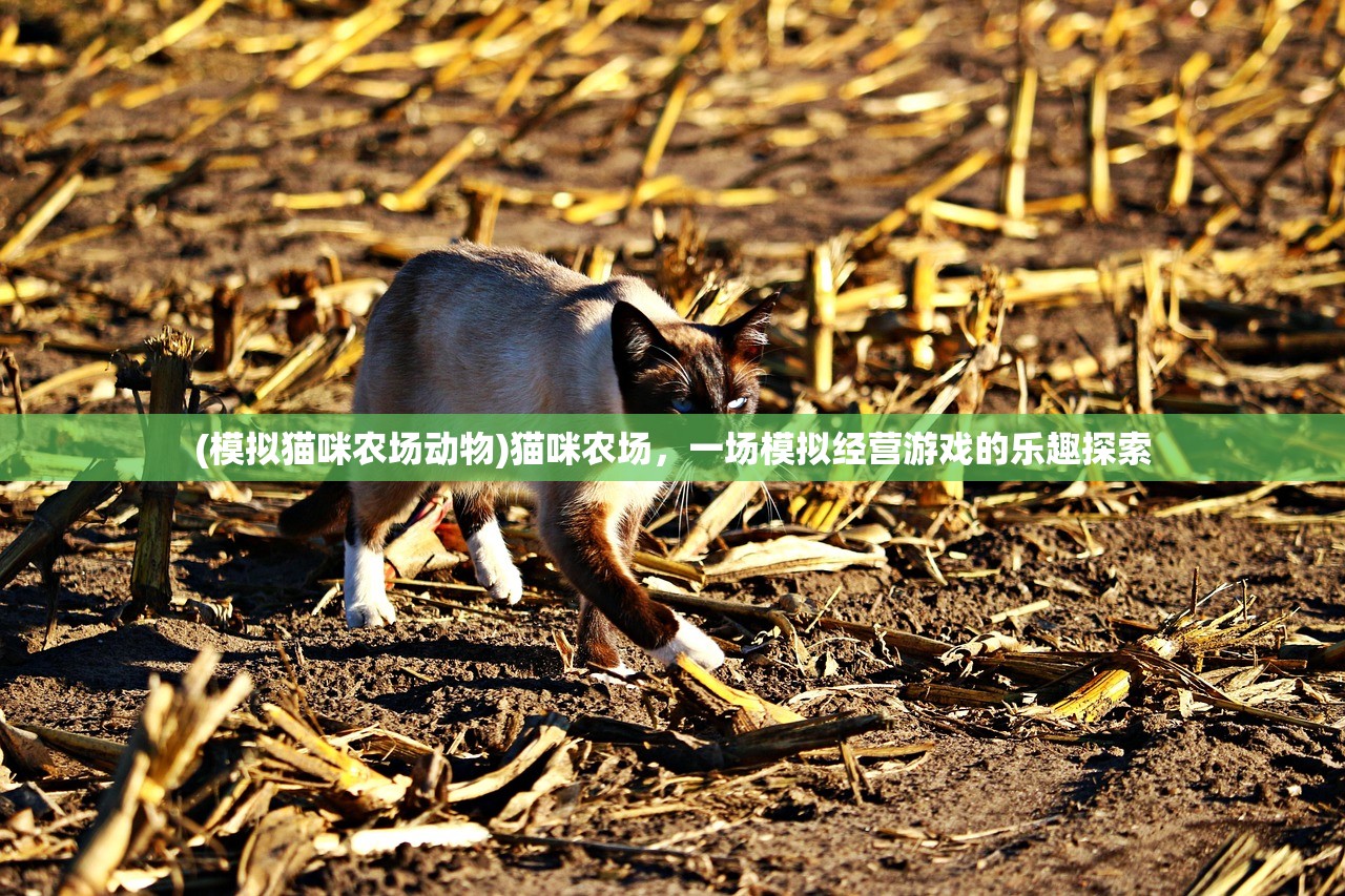 (模拟猫咪农场动物)猫咪农场，一场模拟经营游戏的乐趣探索