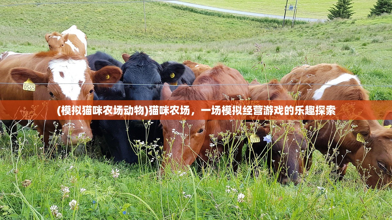 (模拟猫咪农场动物)猫咪农场，一场模拟经营游戏的乐趣探索