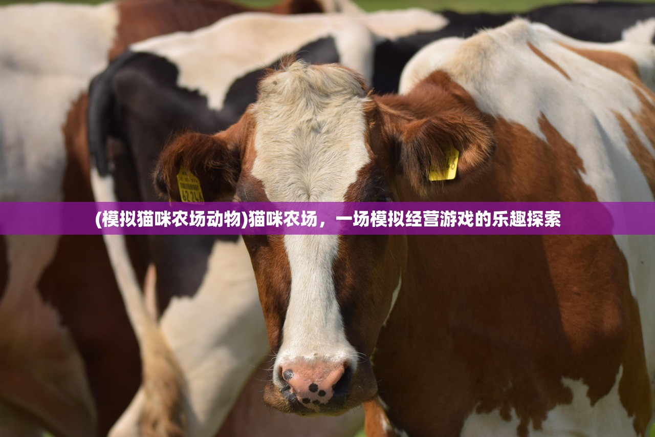 (模拟猫咪农场动物)猫咪农场，一场模拟经营游戏的乐趣探索