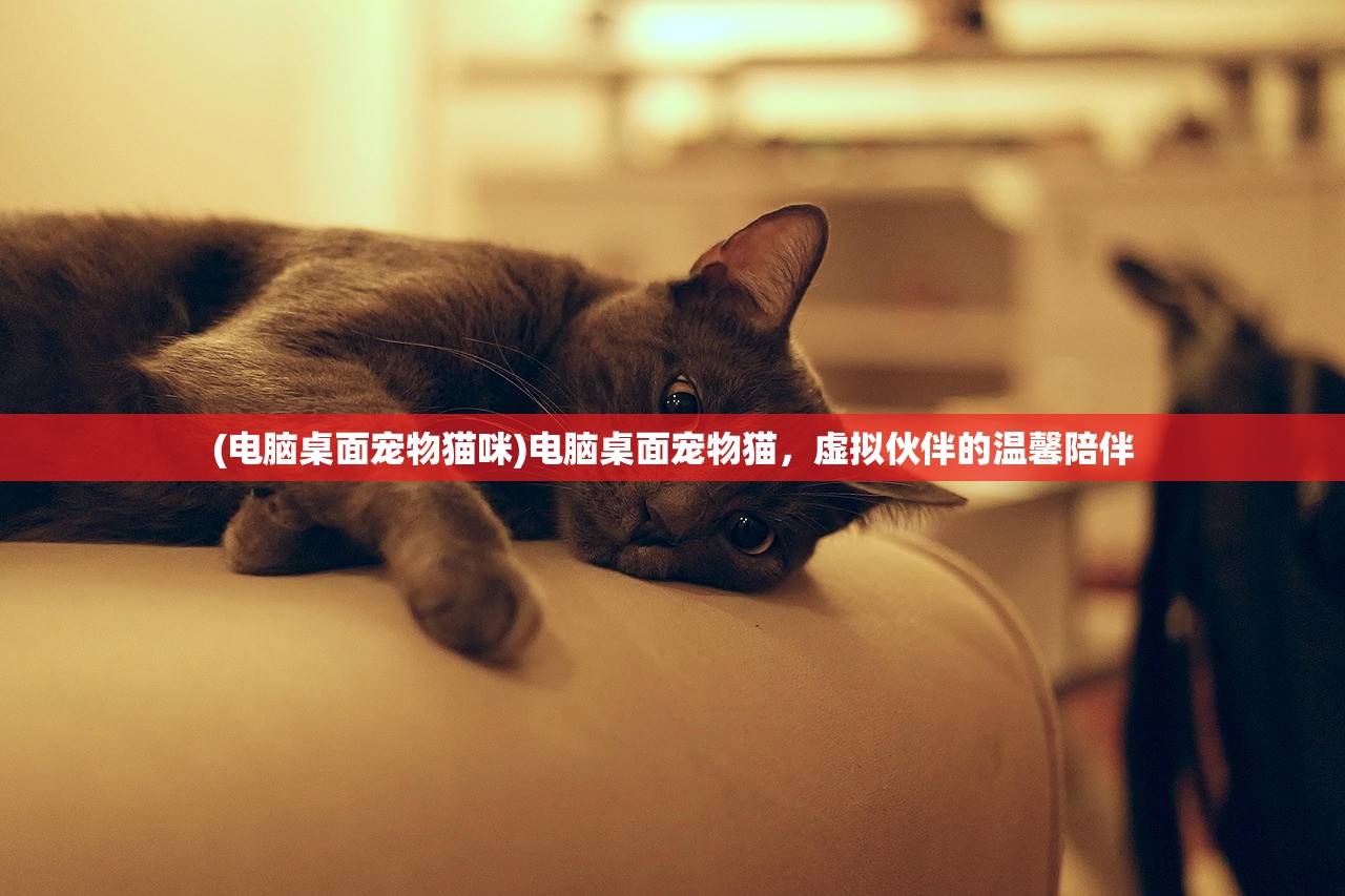 (电脑桌面宠物猫咪)电脑桌面宠物猫，虚拟伙伴的温馨陪伴