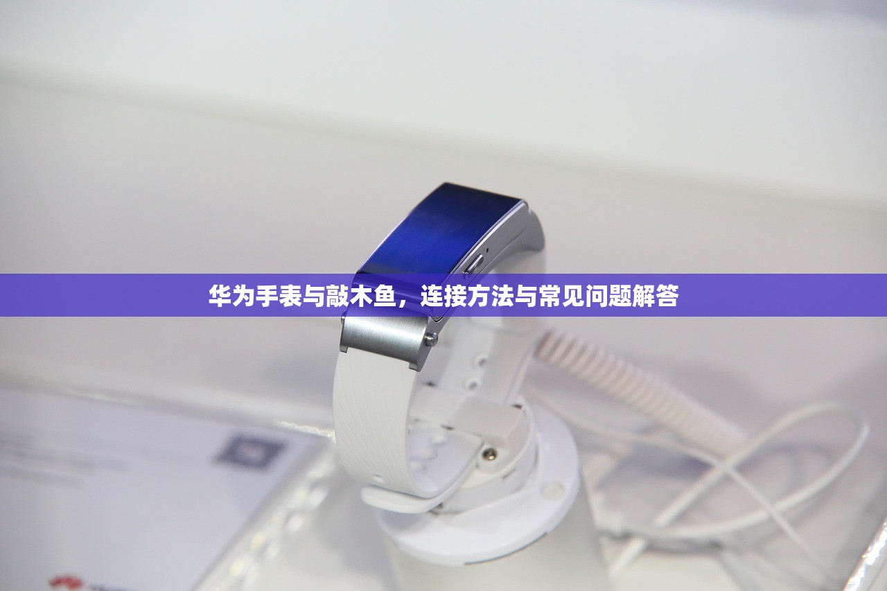 华为手表与敲木鱼，连接方法与常见问题解答