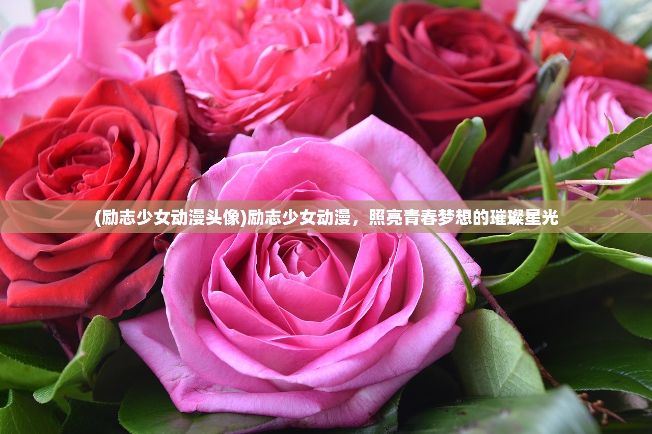 (励志少女动漫头像)励志少女动漫，照亮青春梦想的璀璨星光