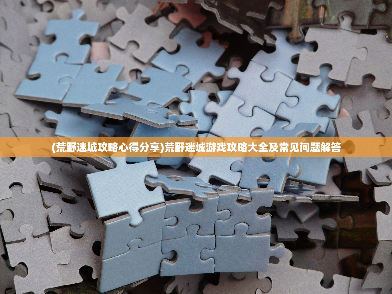 (荒野迷城攻略心得分享)荒野迷城游戏攻略大全及常见问题解答