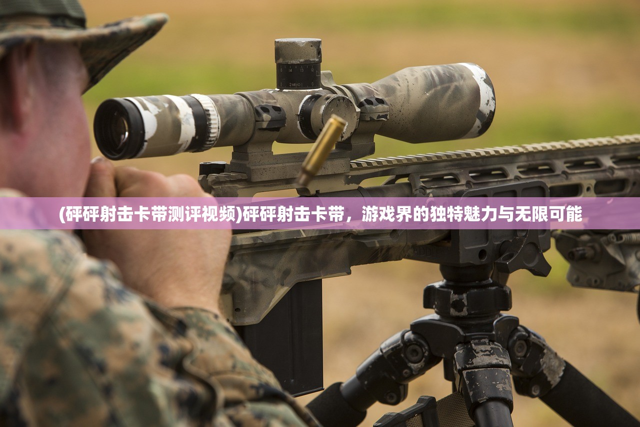 (砰砰射击卡带测评视频)砰砰射击卡带，游戏界的独特魅力与无限可能
