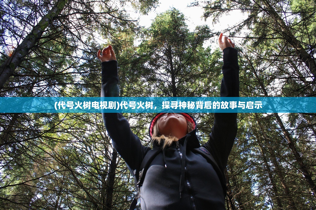 (代号火树电视剧)代号火树，探寻神秘背后的故事与启示