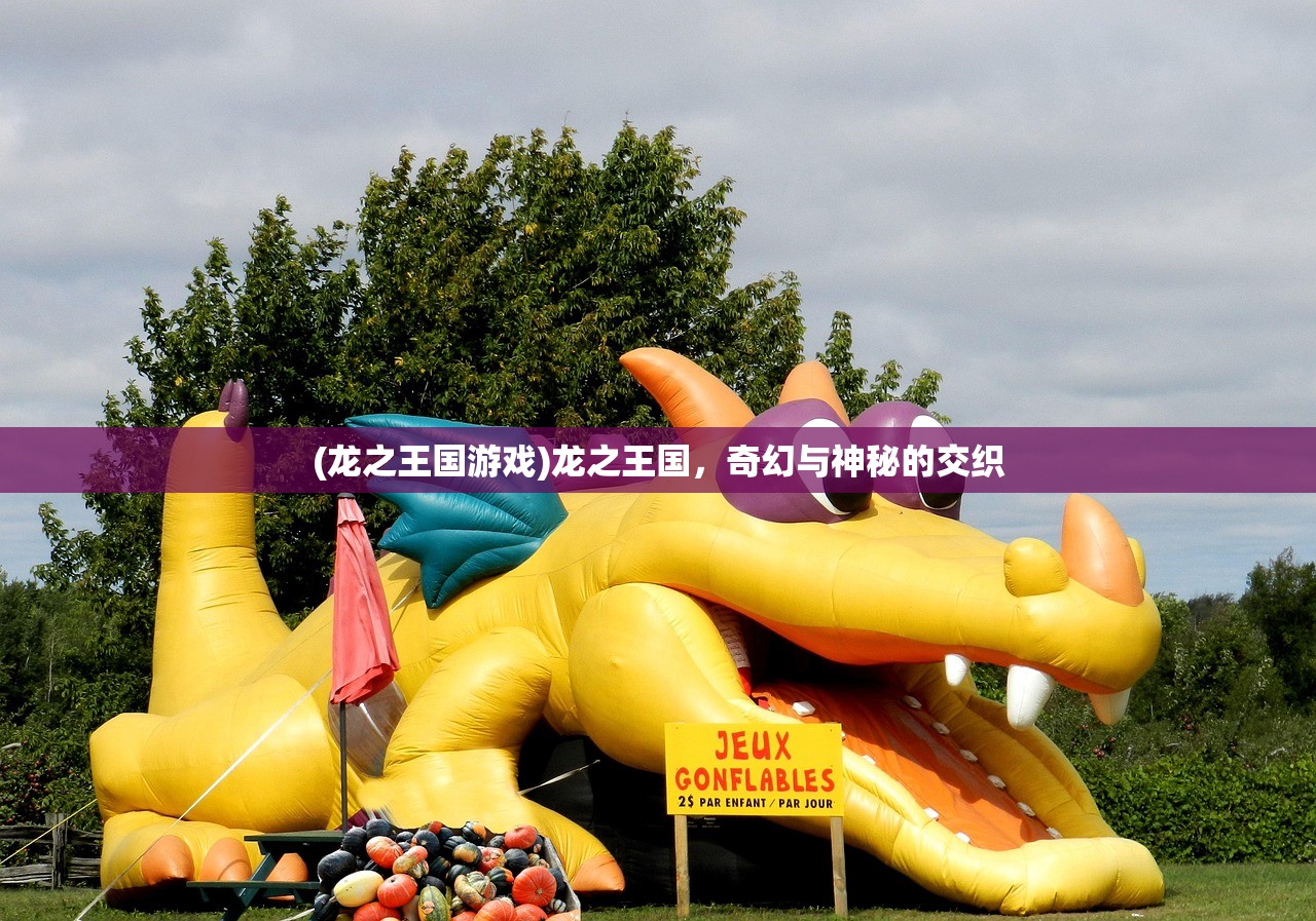 (龙之王国游戏)龙之王国，奇幻与神秘的交织