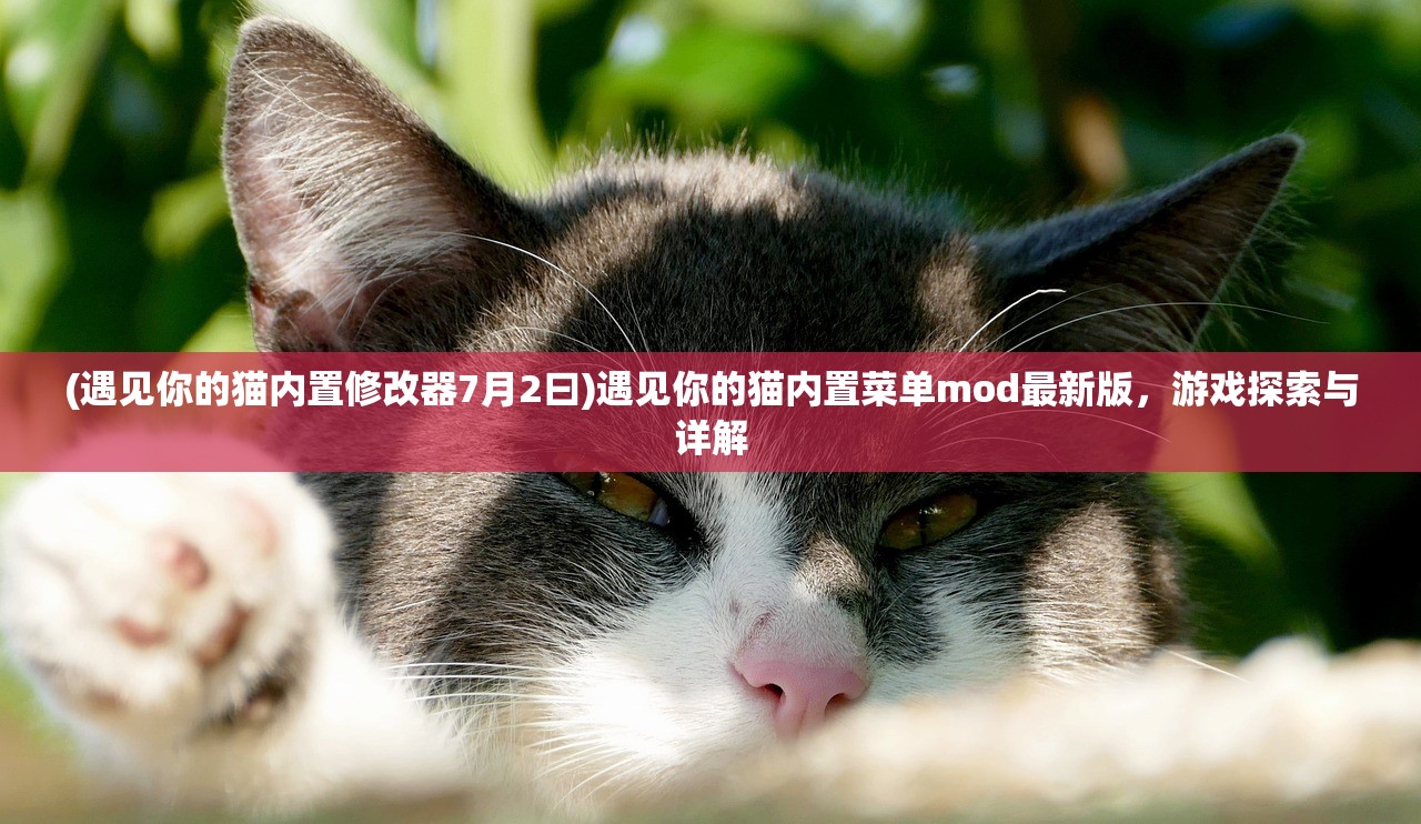 (遇见你的猫内置修改器7月2曰)遇见你的猫内置菜单mod最新版，游戏探索与详解