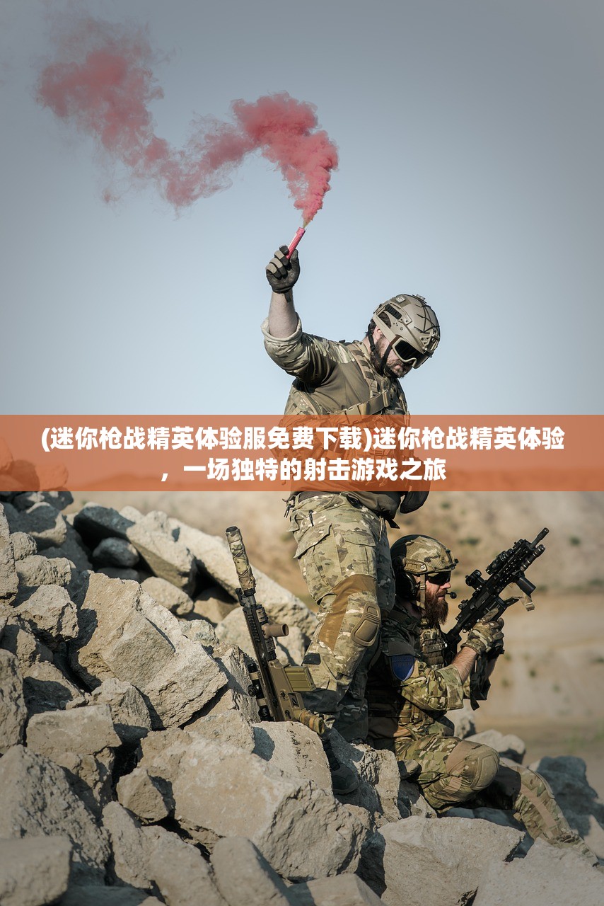 (迷你枪战精英体验服免费下载)迷你枪战精英体验，一场独特的射击游戏之旅