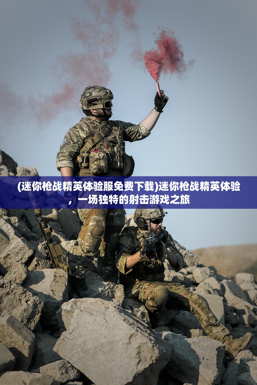 (迷你枪战精英体验服免费下载)迷你枪战精英体验，一场独特的射击游戏之旅