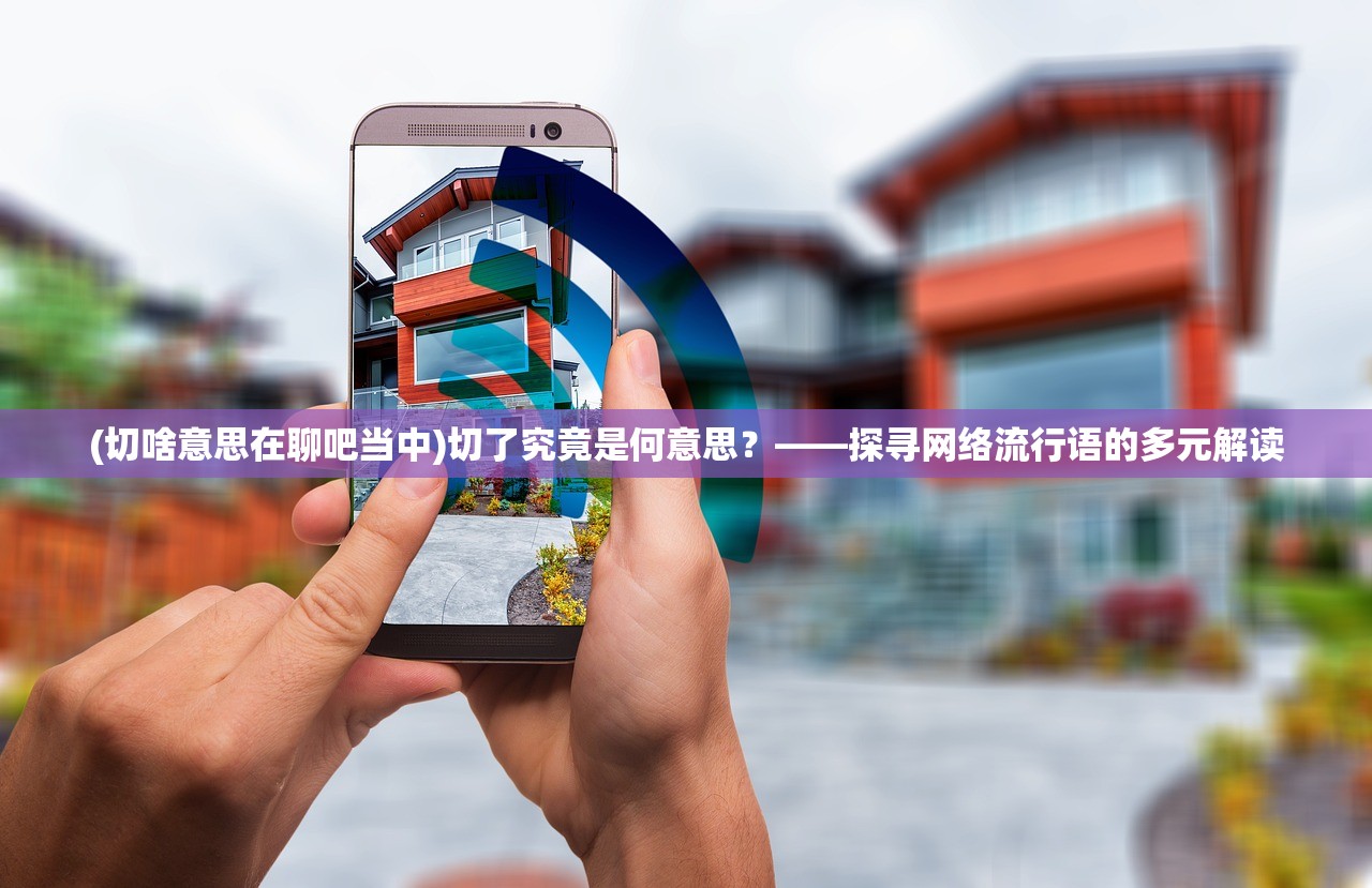 (切啥意思在聊吧当中)切了究竟是何意思？——探寻网络流行语的多元解读