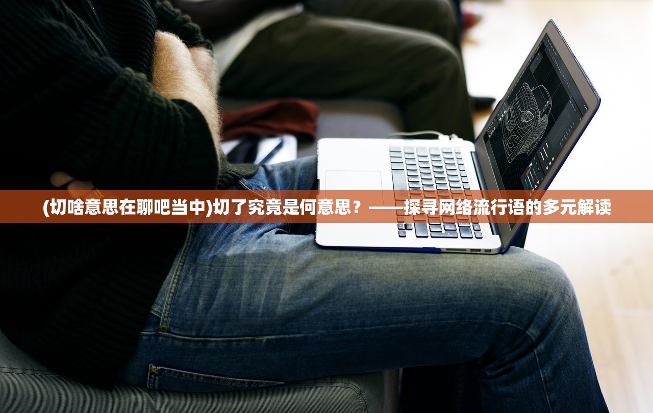 (切啥意思在聊吧当中)切了究竟是何意思？——探寻网络流行语的多元解读