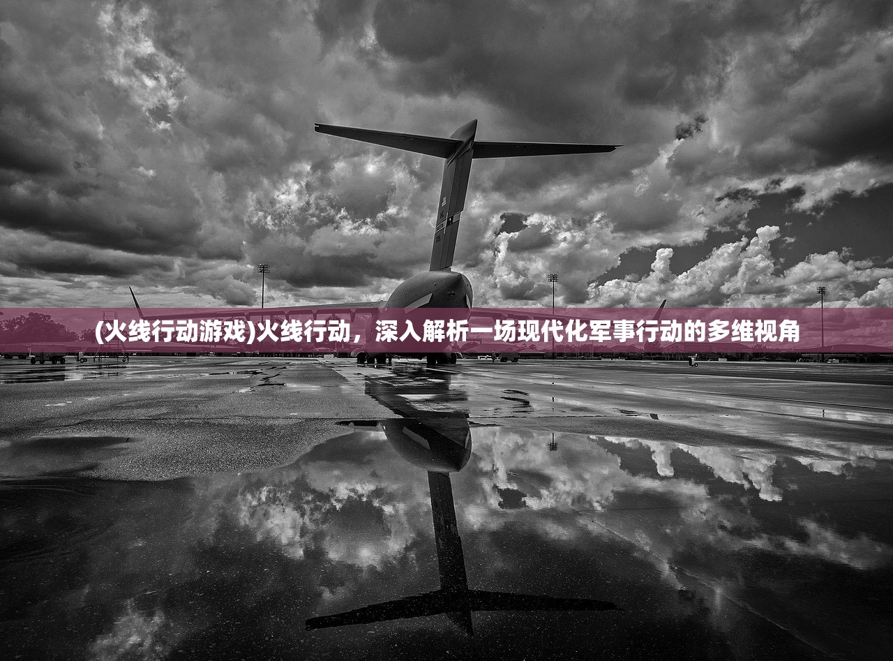 (火线行动游戏)火线行动，深入解析一场现代化军事行动的多维视角