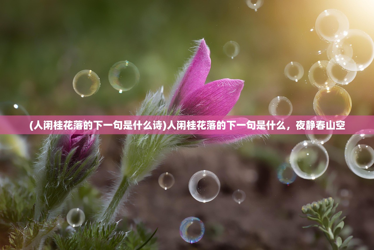 (人闲桂花落的下一句是什么诗)人闲桂花落的下一句是什么，夜静春山空