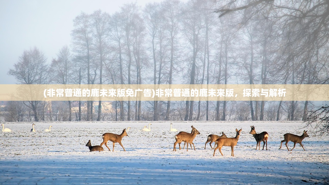 (非常普通的鹿未来版免广告)非常普通的鹿未来版，探索与解析