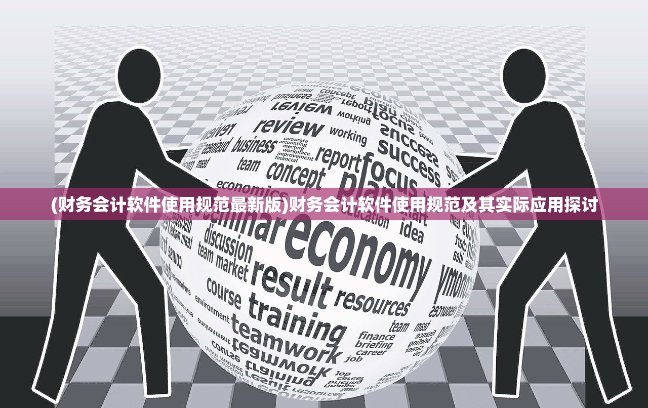 (财务会计软件使用规范最新版)财务会计软件使用规范及其实际应用探讨