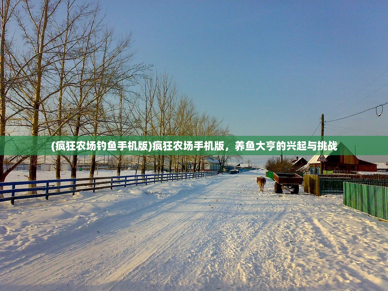 (疯狂农场钓鱼手机版)疯狂农场手机版，养鱼大亨的兴起与挑战