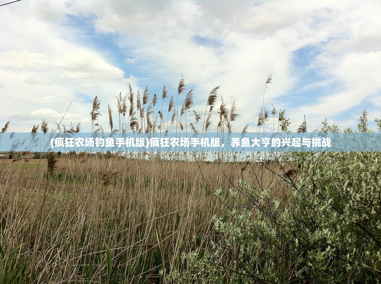 (疯狂农场钓鱼手机版)疯狂农场手机版，养鱼大亨的兴起与挑战