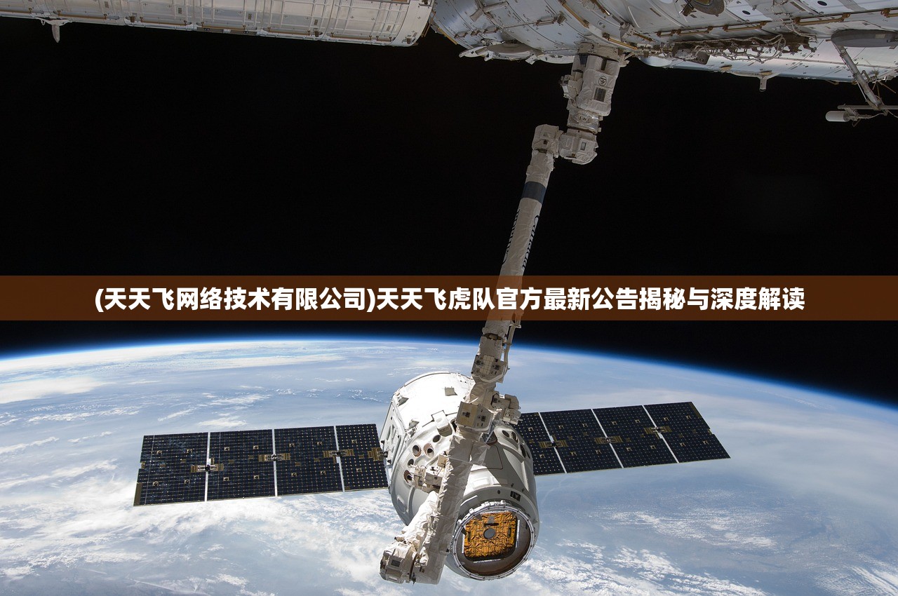 (天天飞网络技术有限公司)天天飞虎队官方最新公告揭秘与深度解读