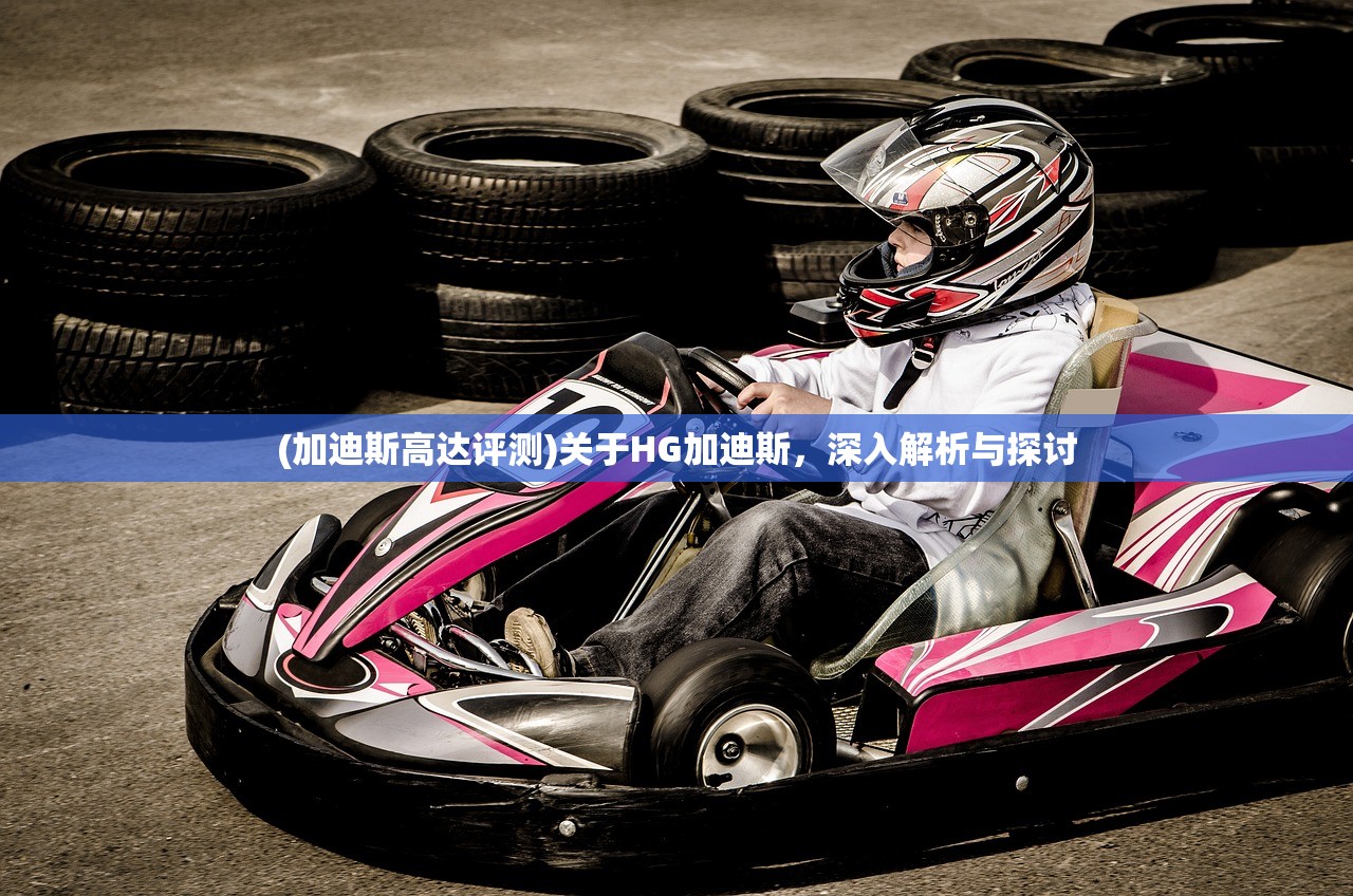 (加迪斯高达评测)关于HG加迪斯，深入解析与探讨