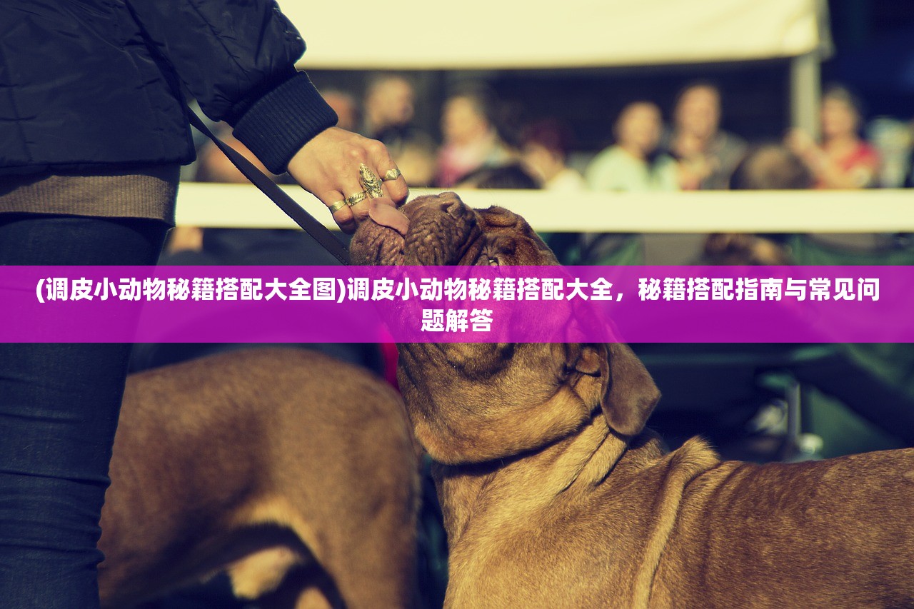 (罗布乐思国际服安装器)罗布乐思国际服，游戏探索与常见问题解答