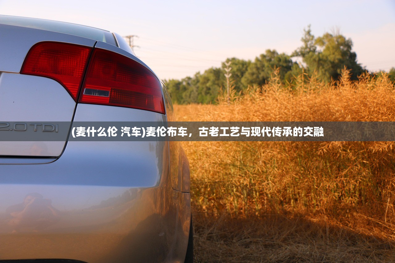 (麦什么伦 汽车)麦伦布车，古老工艺与现代传承的交融