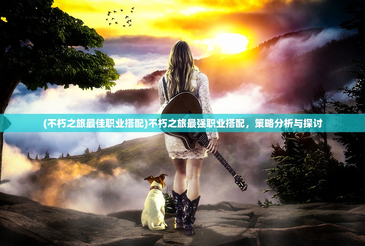 (不朽之旅最佳职业搭配)不朽之旅最强职业搭配，策略分析与探讨