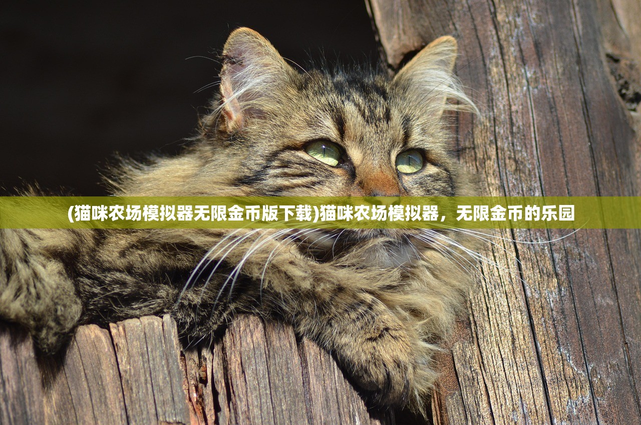 (猫咪农场模拟器无限金币版下载)猫咪农场模拟器，无限金币的乐园