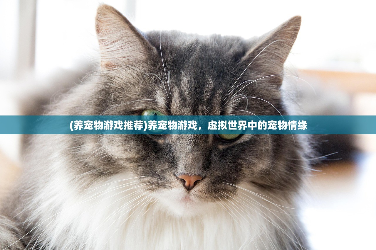 (养宠物游戏推荐)养宠物游戏，虚拟世界中的宠物情缘