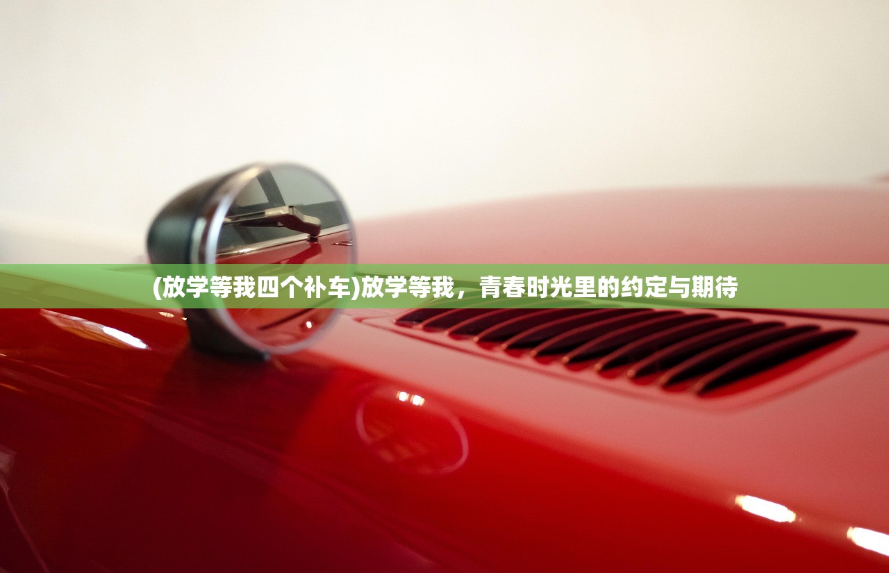 (放学等我四个补车)放学等我，青春时光里的约定与期待