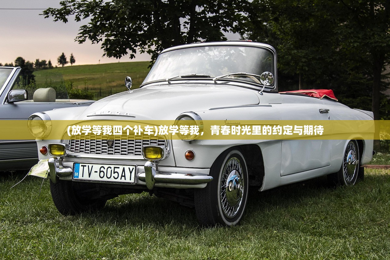(放学等我四个补车)放学等我，青春时光里的约定与期待