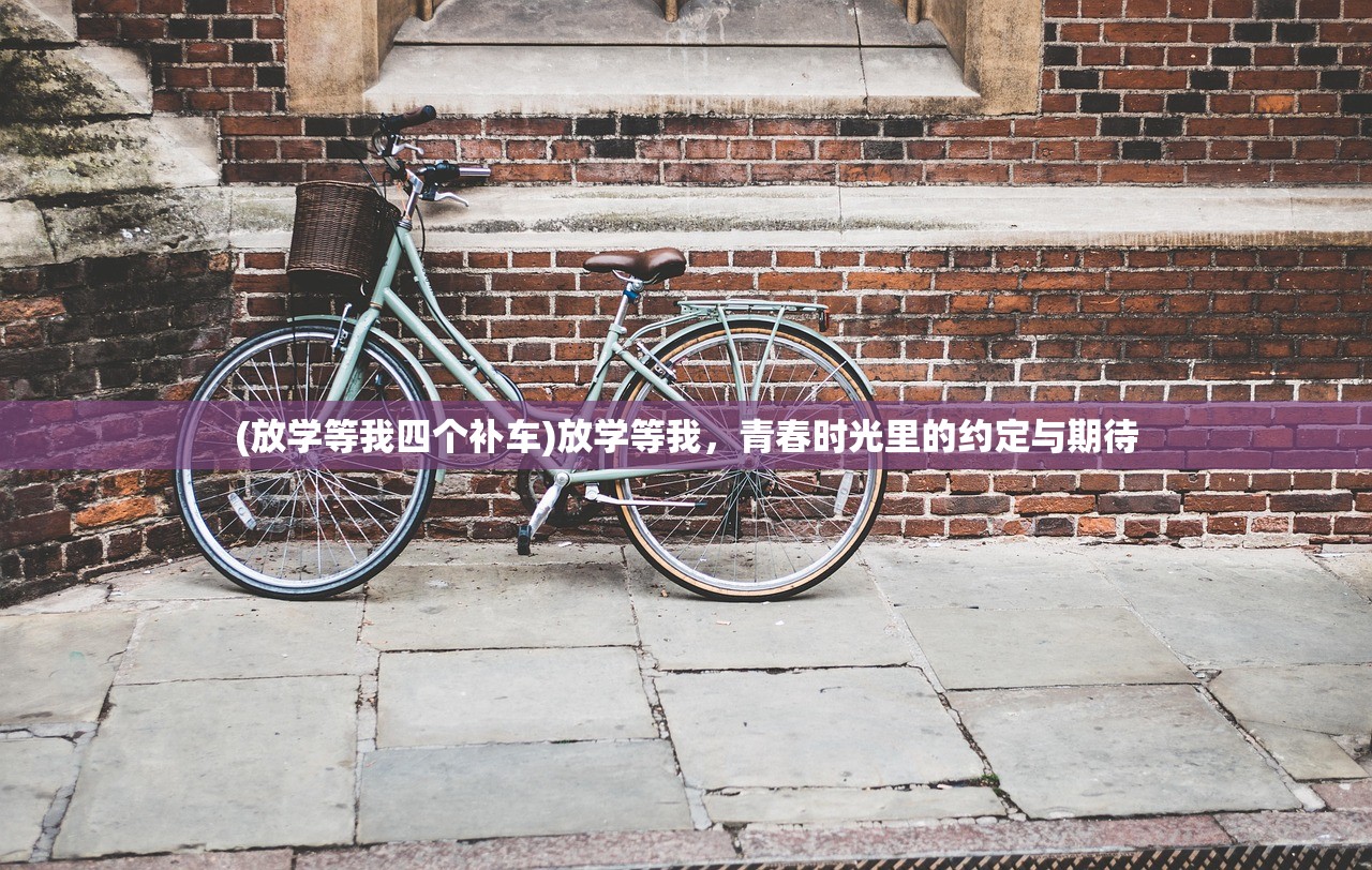 (放学等我四个补车)放学等我，青春时光里的约定与期待