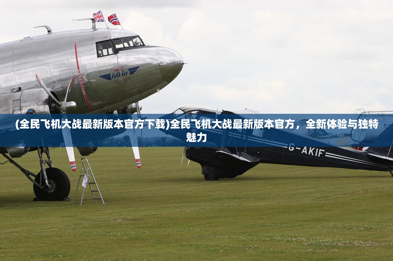 (全民飞机大战最新版本官方下载)全民飞机大战最新版本官方，全新体验与独特魅力