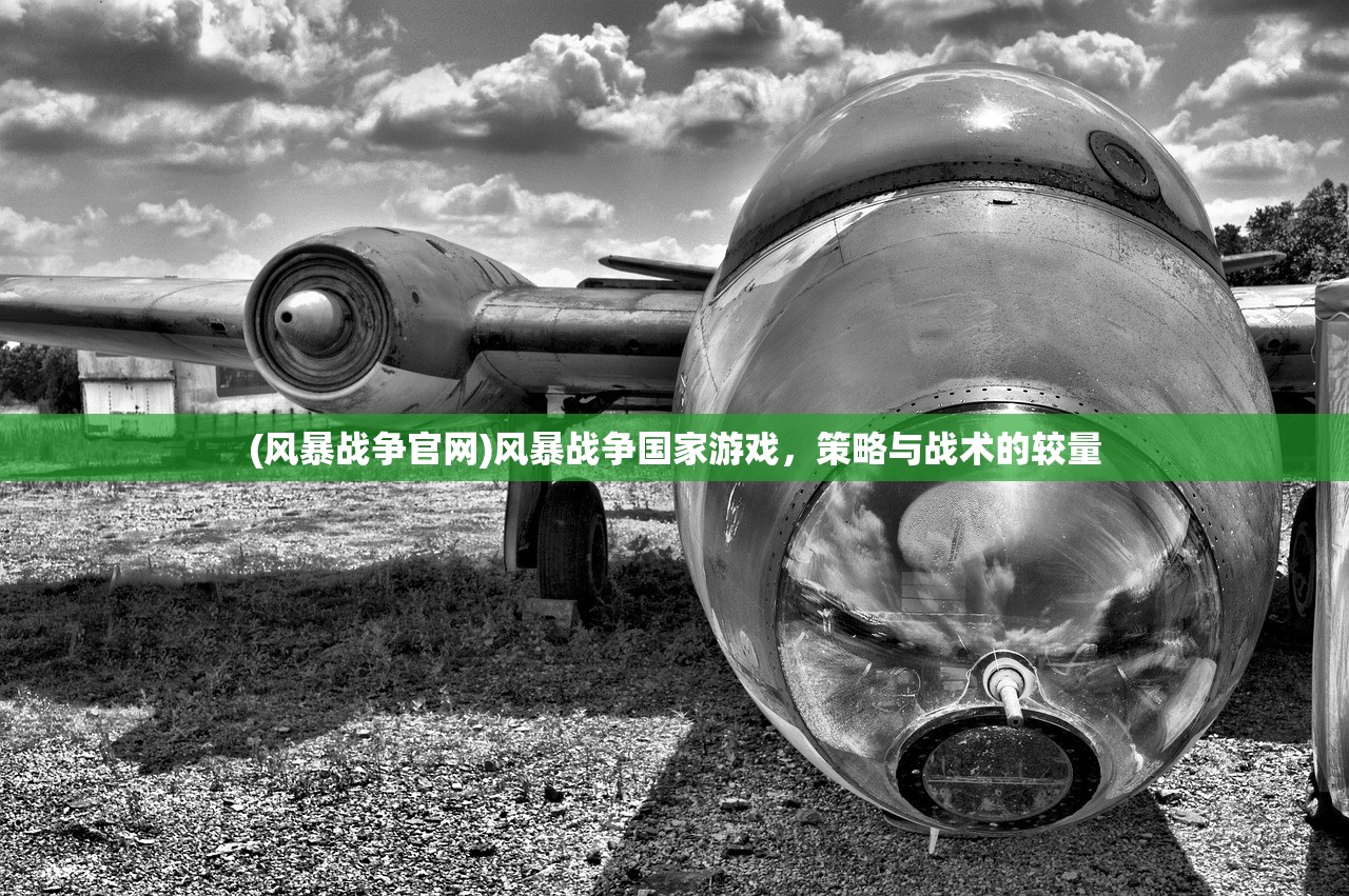 (风暴战争官网)风暴战争国家游戏，策略与战术的较量