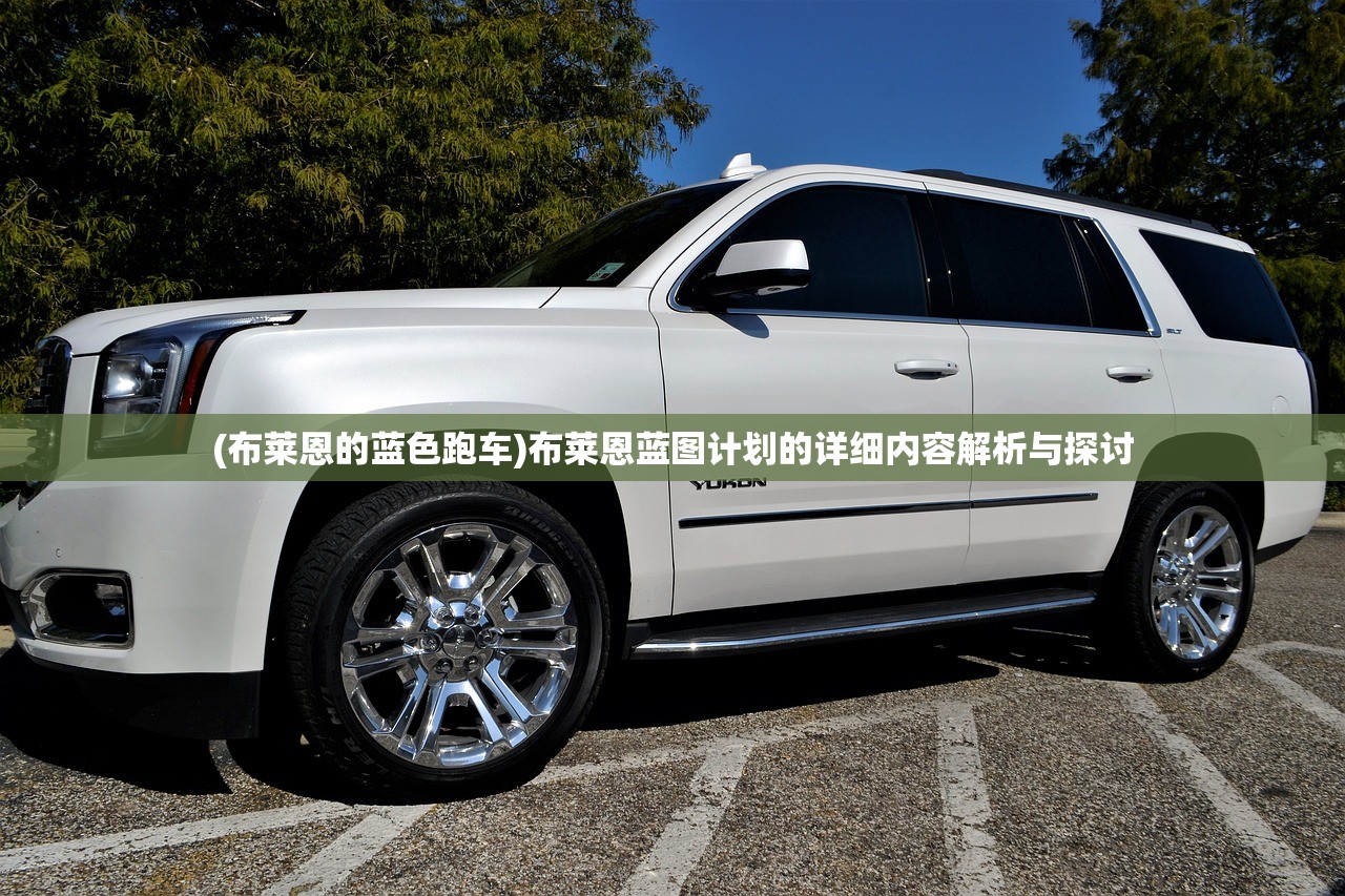 (布莱恩的蓝色跑车)布莱恩蓝图计划的详细内容解析与探讨