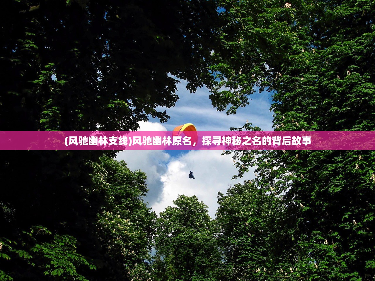 (风驰幽林支线)风驰幽林原名，探寻神秘之名的背后故事