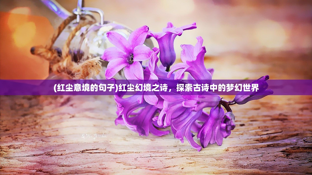 (红尘意境的句子)红尘幻境之诗，探索古诗中的梦幻世界