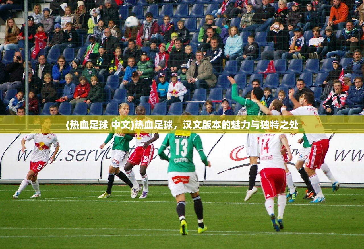 (热血足球 中文)热血足球，汉文版本的魅力与独特之处