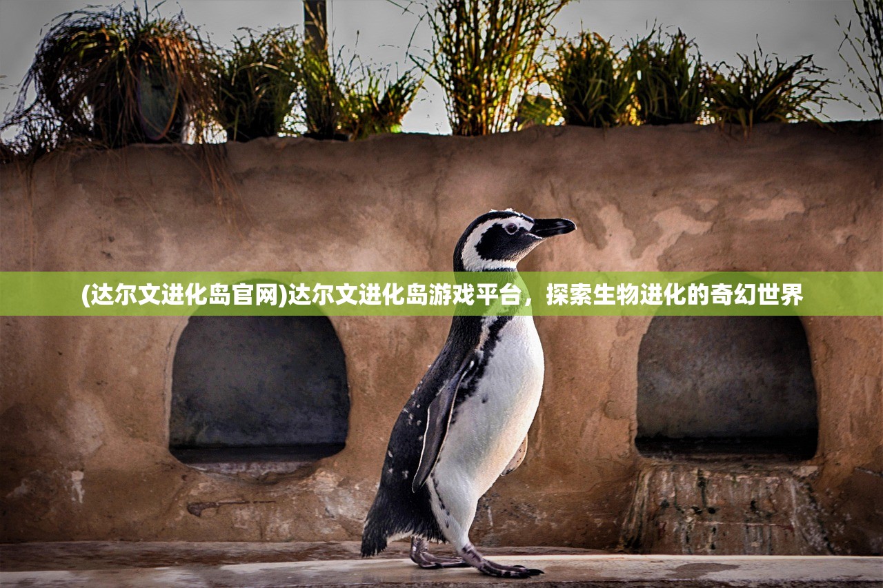 (达尔文进化岛官网)达尔文进化岛游戏平台，探索生物进化的奇幻世界