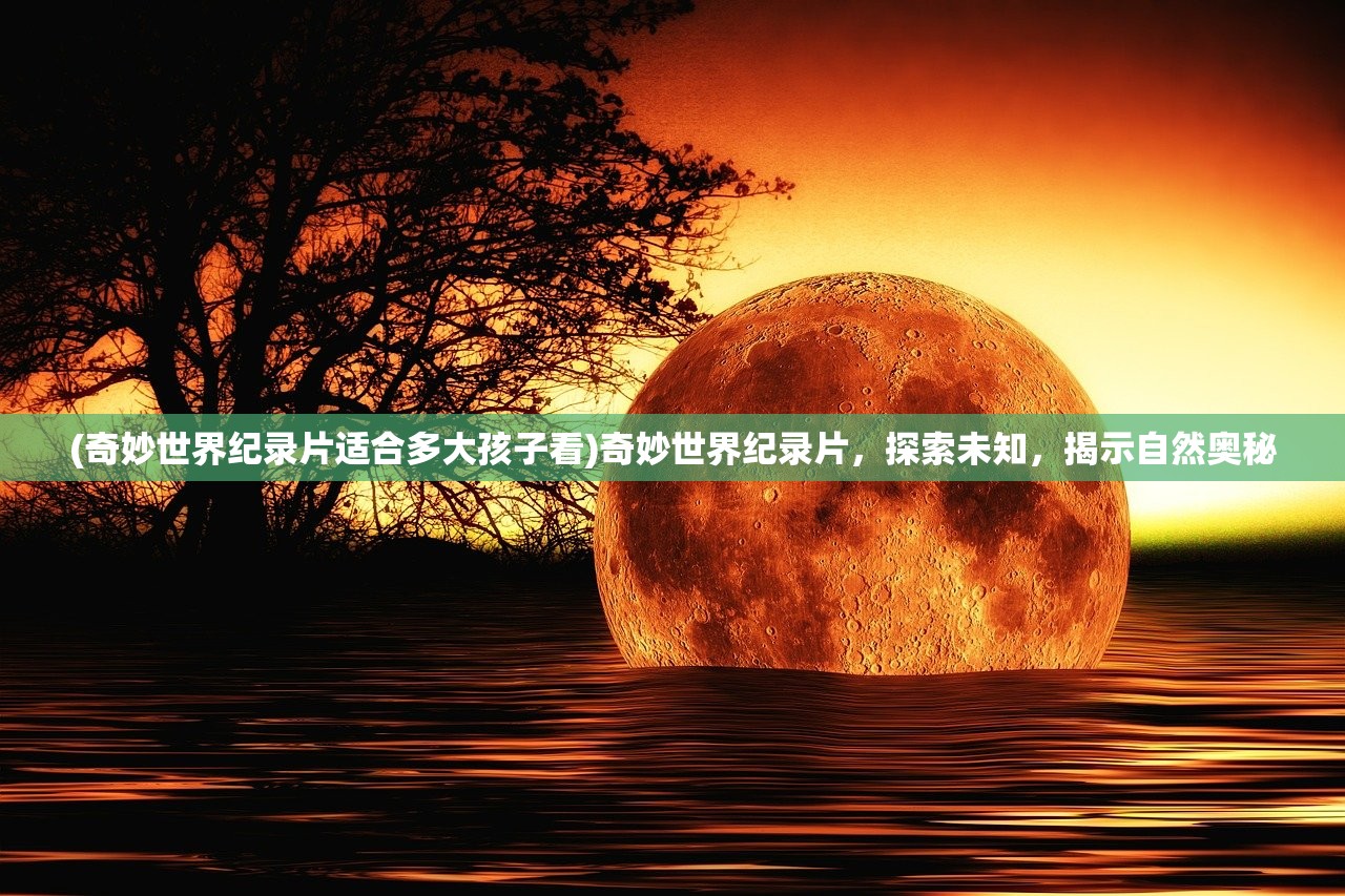 (奇妙世界纪录片适合多大孩子看)奇妙世界纪录片，探索未知，揭示自然奥秘