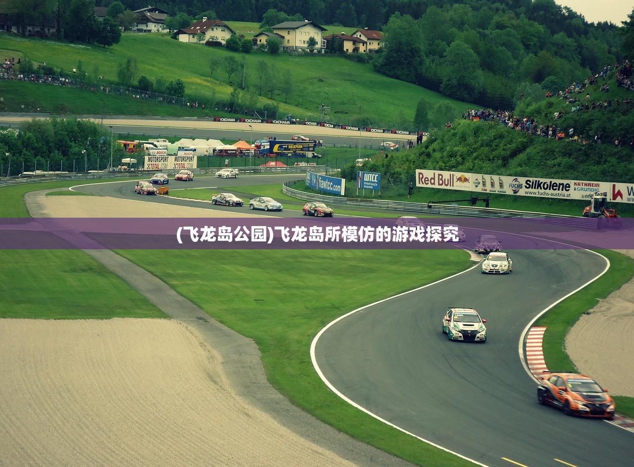 (飞龙岛公园)飞龙岛所模仿的游戏探究