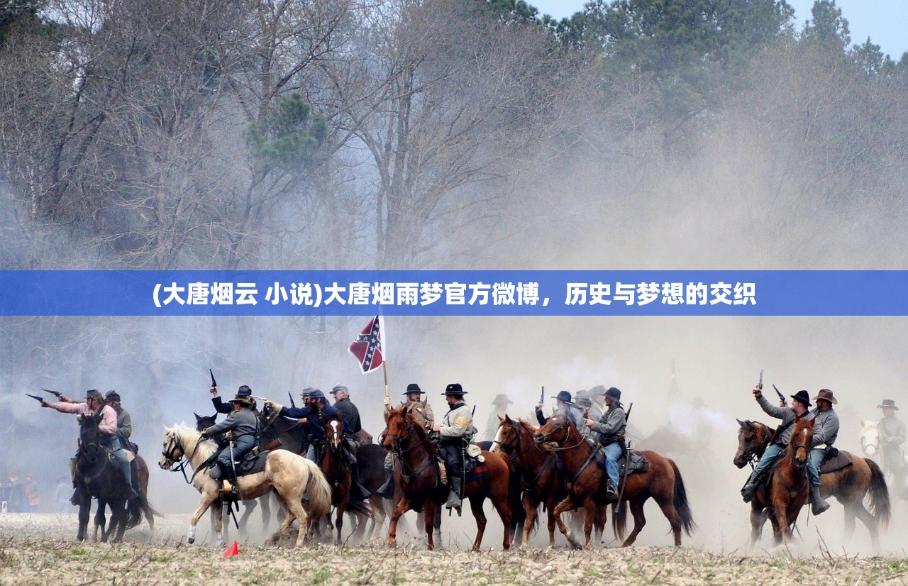 (大唐烟云 小说)大唐烟雨梦官方微博，历史与梦想的交织