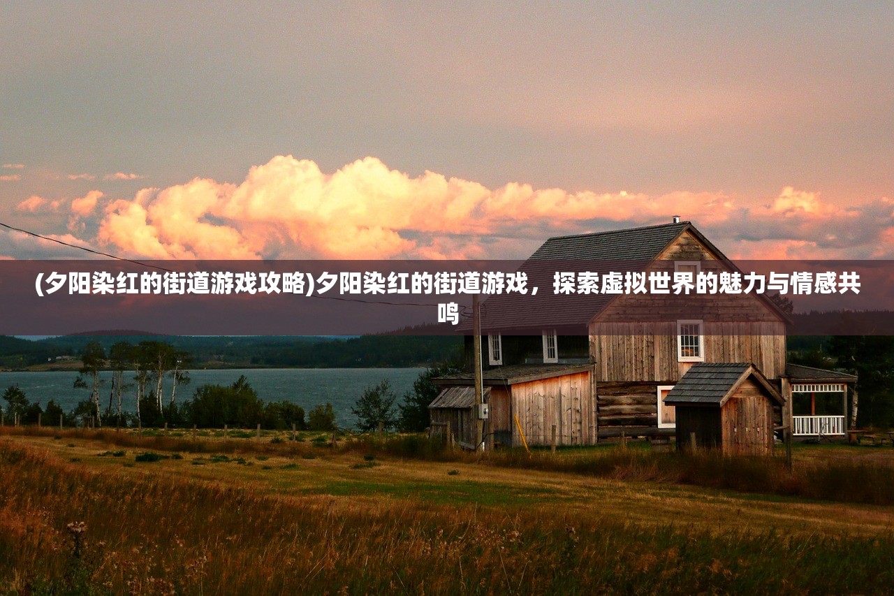 (夕阳染红的街道游戏攻略)夕阳染红的街道游戏，探索虚拟世界的魅力与情感共鸣