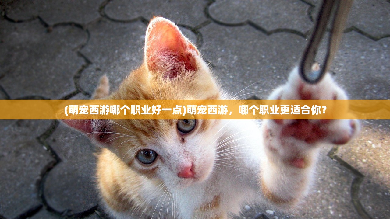 (萌宠西游哪个职业好一点)萌宠西游，哪个职业更适合你？