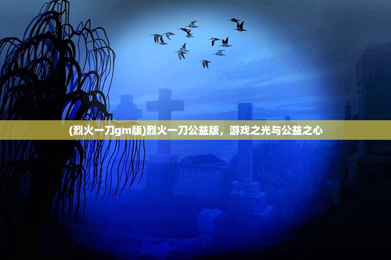 (烈火一刀gm版)烈火一刀公益版，游戏之光与公益之心