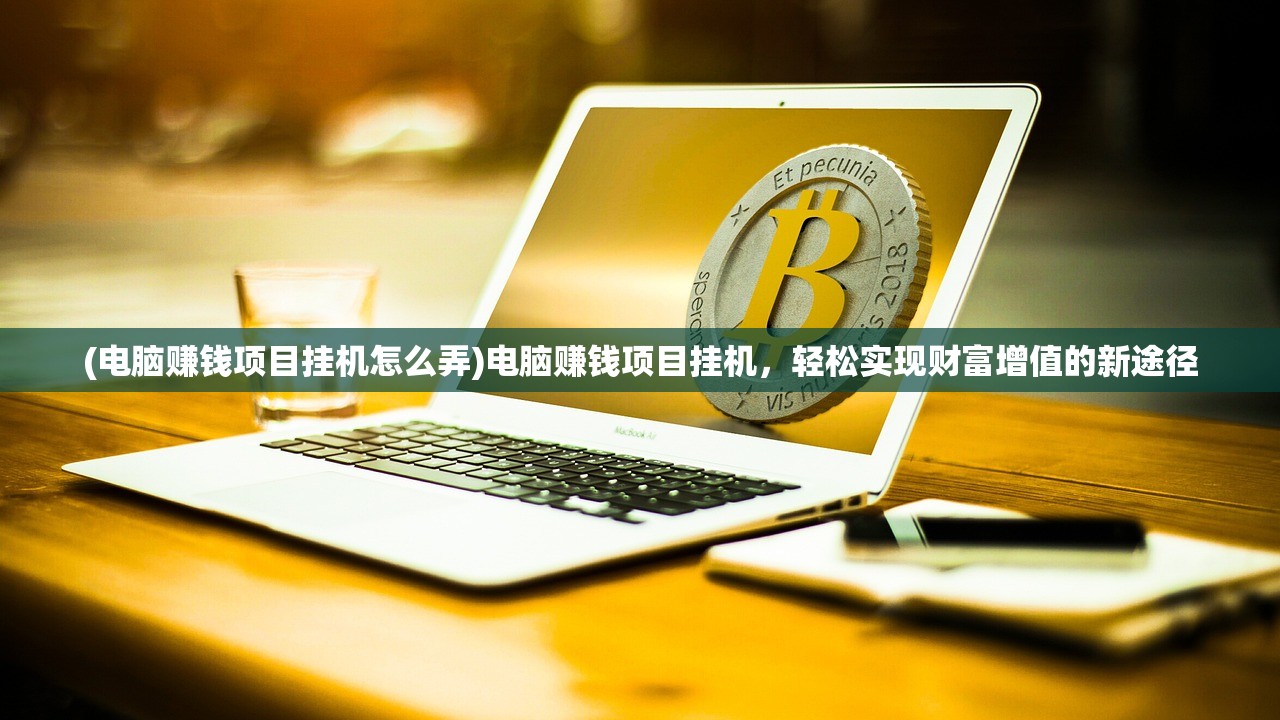 (电脑赚钱项目挂机怎么弄)电脑赚钱项目挂机，轻松实现财富增值的新途径