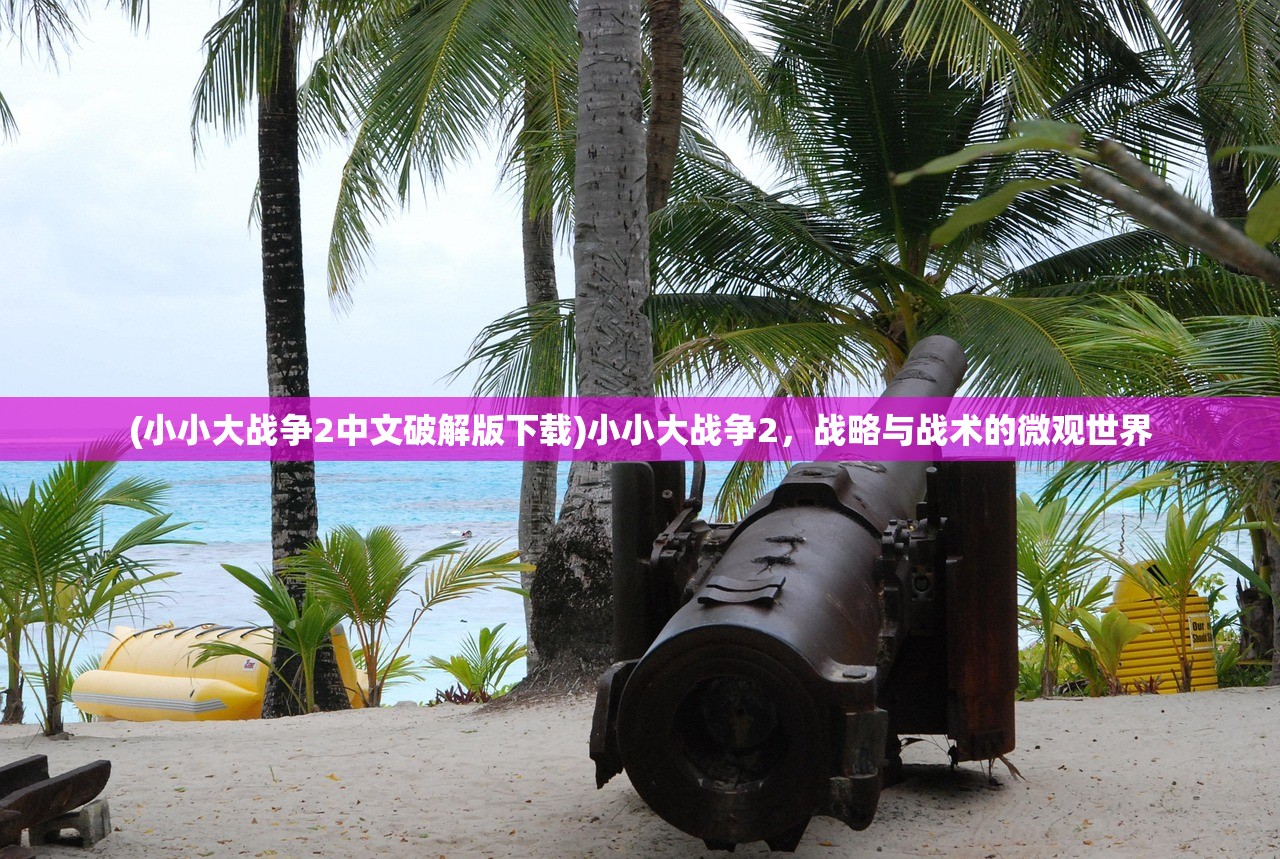 (小小大战争2中文破解版下载)小小大战争2，战略与战术的微观世界