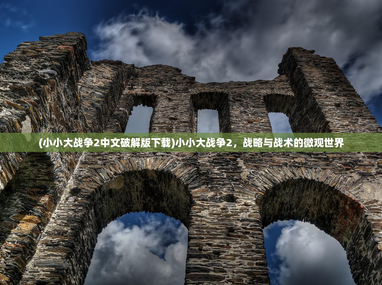 (小小大战争2中文破解版下载)小小大战争2，战略与战术的微观世界